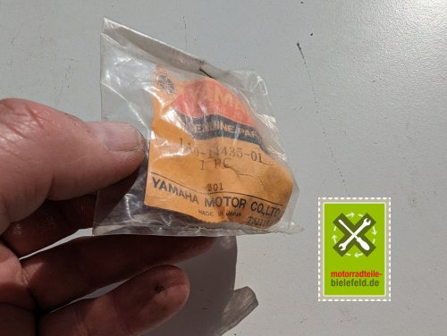 PXL_20240523_151732752